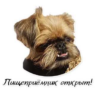 Sticker СТАЯ - 2
