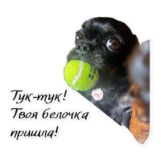 Sticker СТАЯ - 7