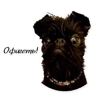 Sticker СТАЯ - 8
