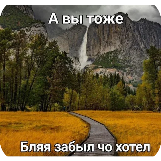 Йожики топ • @DayStikBot Йожики топ • @DayStikBot -