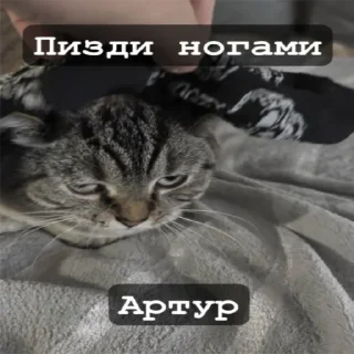 Sticker Артур - 0