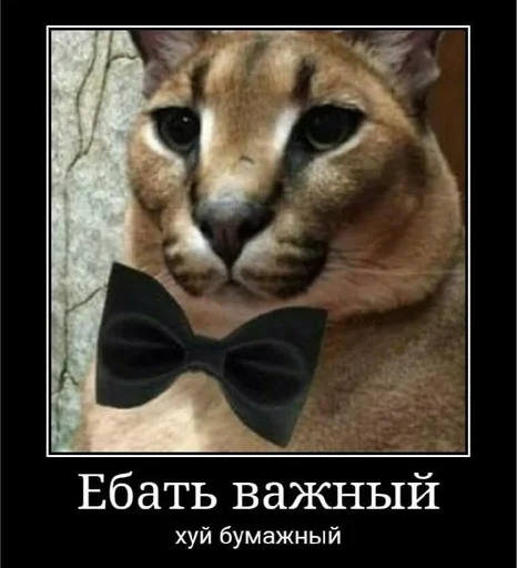 Itachipidor :: @fStikBot Itachipidor :: @fStikBot -
