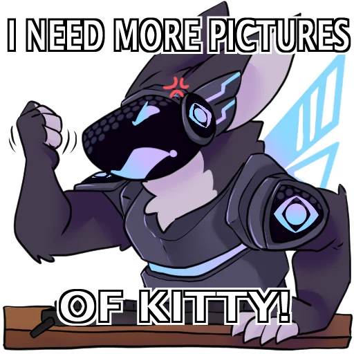 JF_Kitty JF_Kitty -