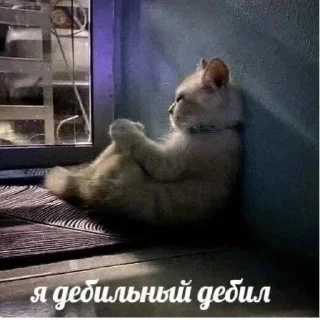 Стикер Поздравления ☺️😘😘 - 0