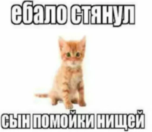 Больше стиков тут: @stikery4 Больше стиков тут: @stikery4 -