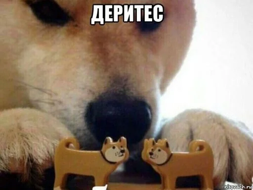 ??? Жабабот ??? Жабабот -