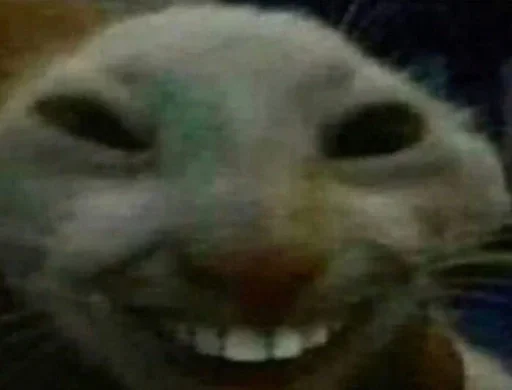 Ггвп Ггвп -