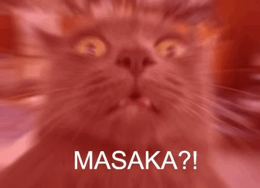Japanese Animals Japanese Animals -