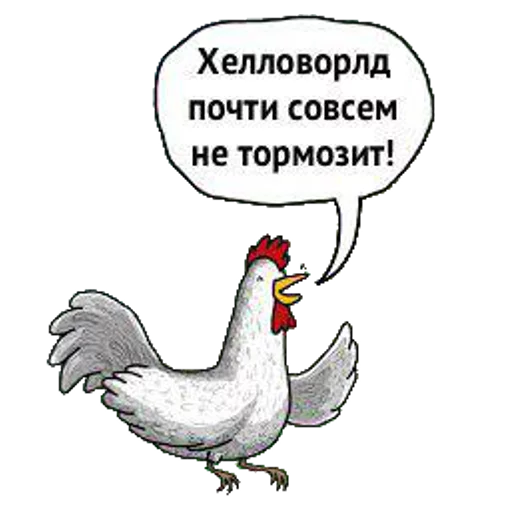 text text chicken gallinaceous bird