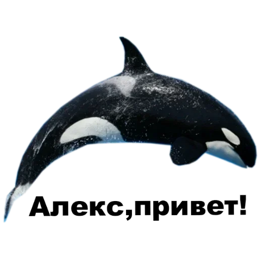 Личные 2 :: @fStikBot Личные 2 :: @fStikBot -