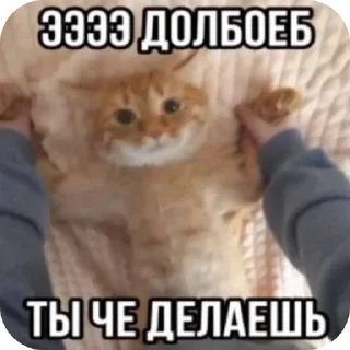 Sticker @VLAGA_STICK 👈 Там ВСЕ стикеры❤️ - 0