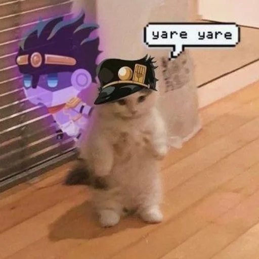 Джотаро Джотаро -