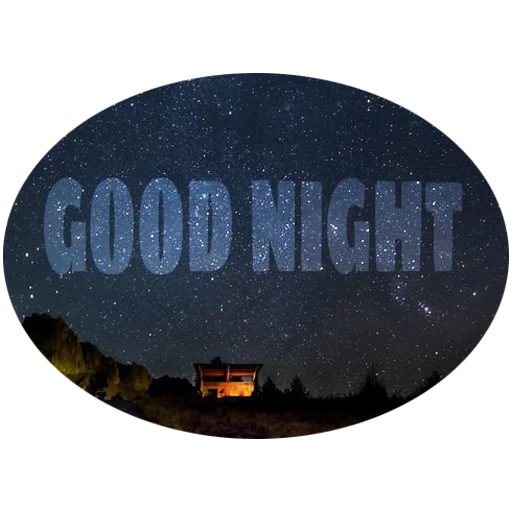 text text night tree
