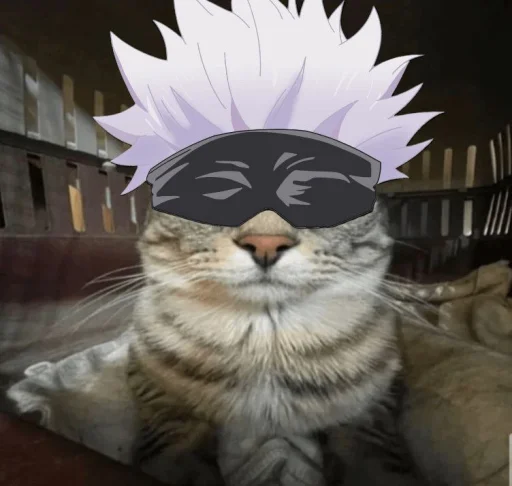 Jujitsu Catson Jujitsu Catson -