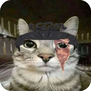 Стикер Jujitsu Catson - 0