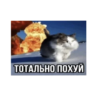 Sticker ... - 2