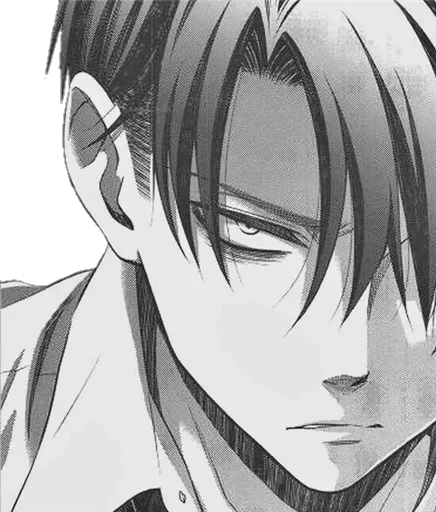 Стикер Levi Ackerman @SwallowZireael - 7