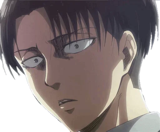 Стикер Levi Ackerman @SwallowZireael - 2