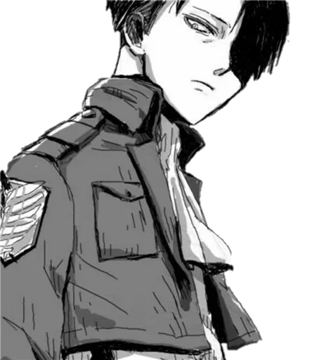Стикер Levi Ackerman @SwallowZireael - 1
