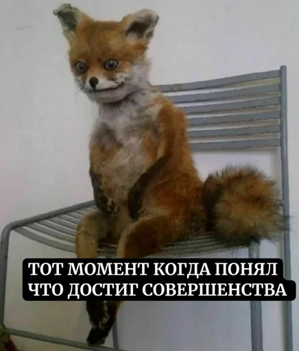 Создать стикеры|@EmojiRuBot Создать стикеры|@EmojiRuBot -