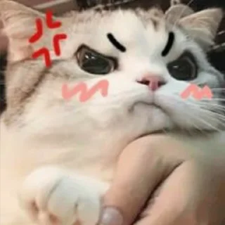 Sticker كرمله - 11 Sticker كرمله - 11