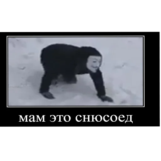 КВД ГОВНО КВД ГОВНО -