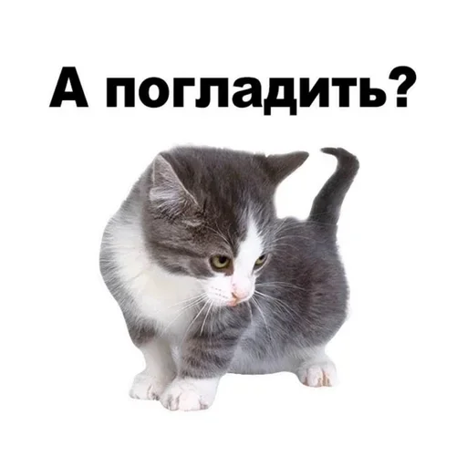 Больше стиков тут: @stikery4 Больше стиков тут: @stikery4 -