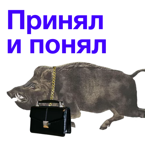 Понято принято