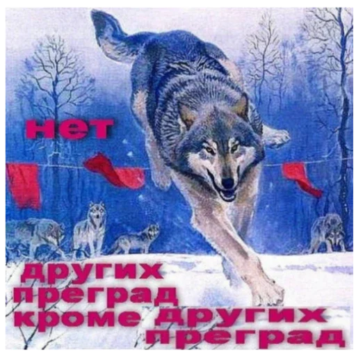 Какой-то алкаши Какой-то алкаши -