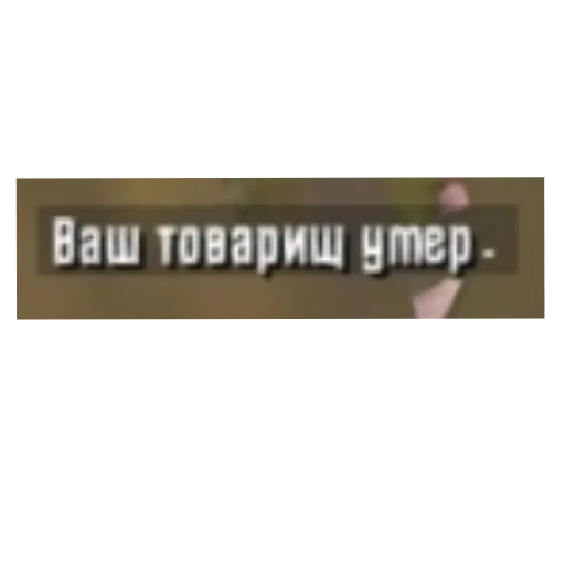Рандом солянка Рандом солянка -