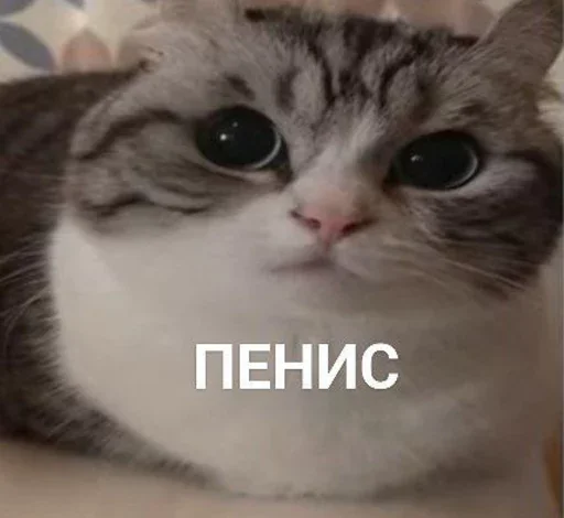 Что-то Что-то -