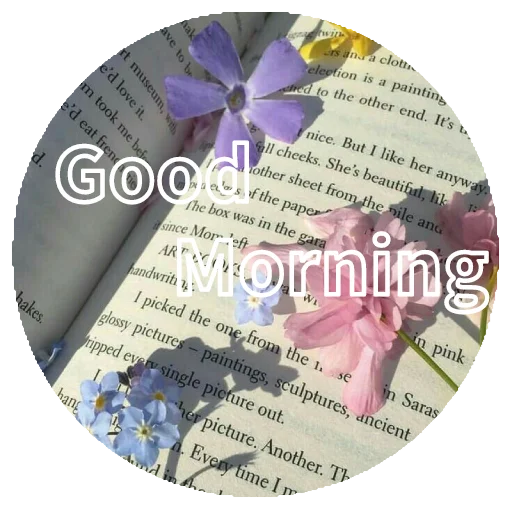 ♡︎•KanalStickers•♡︎ ♡︎•KanalStickers•♡︎ -