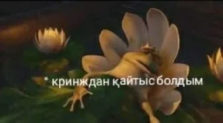 Sticker Казахстан🇰🇿 - 10