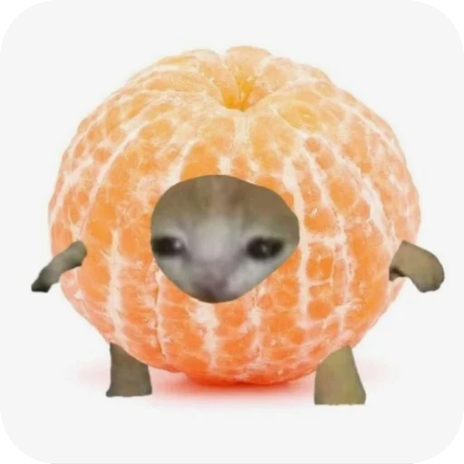 Кэты Кэты -