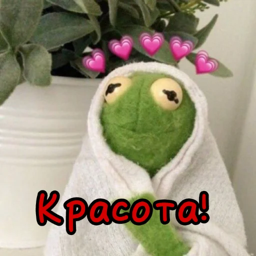 Стикер Лягуш Кермит by @stikeru7777 - 8