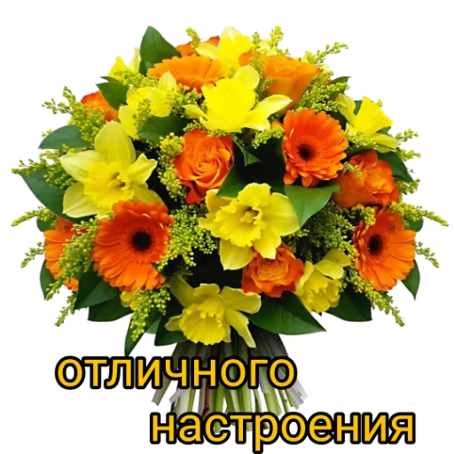 @rabota_onlain54 @rabota_onlain54 -