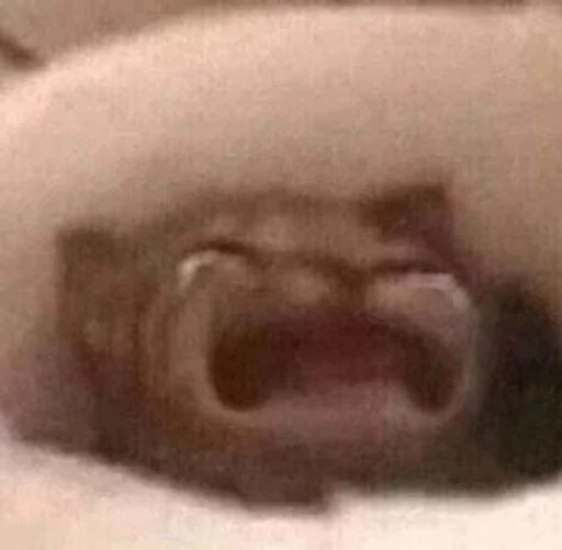 котики :: @fStikBot котики :: @fStikBot -