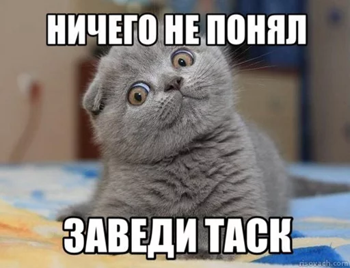 Добрые админы Вертикалей Добрые админы Вертикалей -