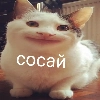 КОТОБЫРЫ КОТОБЫРЫ -