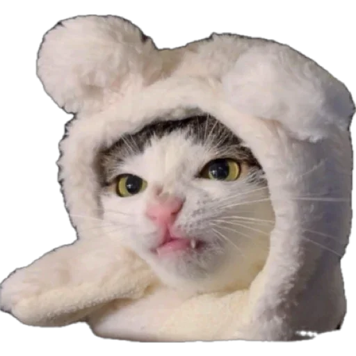 Kitkit Kitkit -