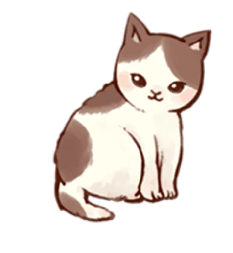Kitten daily 🐈 Kitten daily 🐈 -