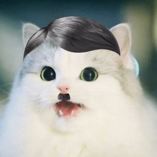 Kittenwaffen Kittenwaffen - кошка