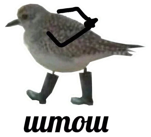 text animal sketch