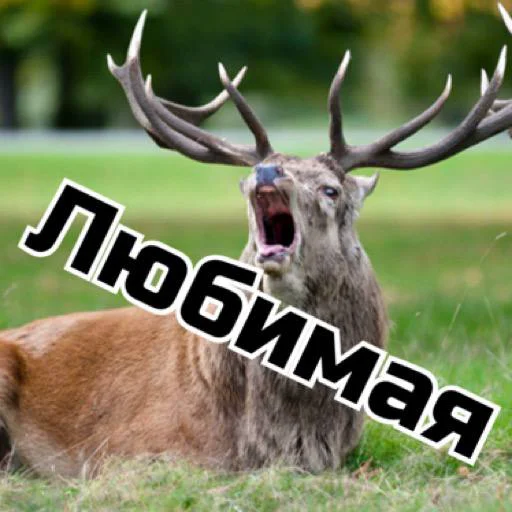 Клуб_к Клуб_к -