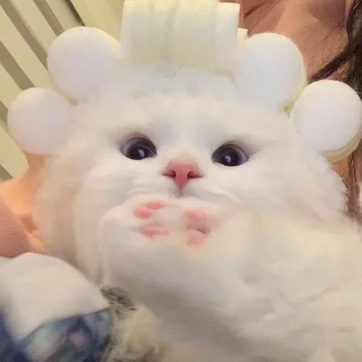 toy person rabbit