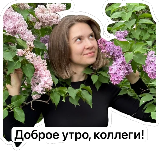 Коллеги! Коллеги! -