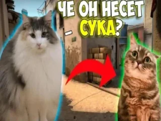 Sticker Набор Комару, Кокоа и Комуги от @OTTIMIC - 6