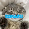Будни Комару @komaru_gif Будни Комару @komaru_gif -