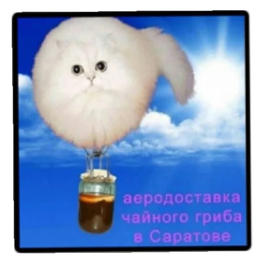 Конч Конч -