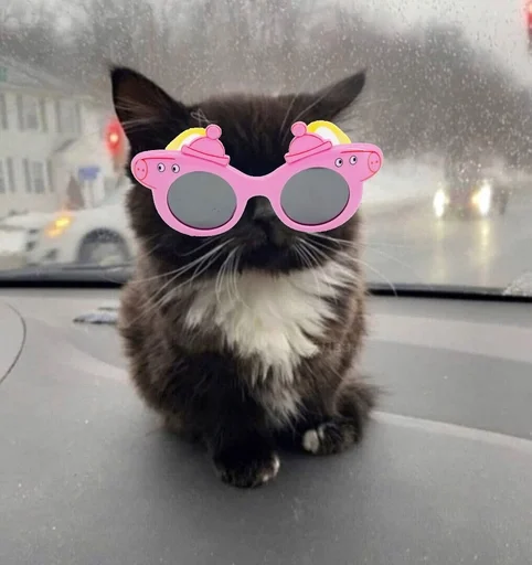 Чмоня :: @fStikBot Чмоня :: @fStikBot -